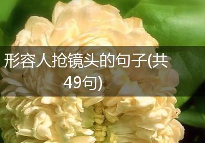 形容人抢镜头的句子(共49句)