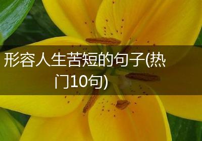 形容人生苦短的句子(热门10句)