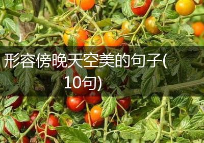 形容傍晚天空美的句子(10句)