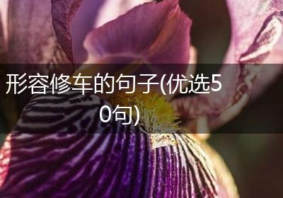 形容修车的句子(优选50句)