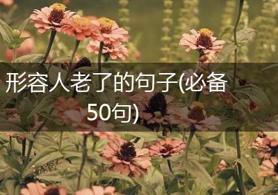 形容人老了的句子(必备50句)
