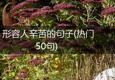 形容人辛苦的句子(热门50句)
