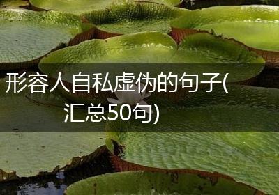 形容人自私虚伪的句子(汇总50句)