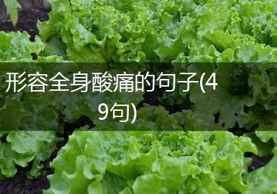 形容全身酸痛的句子(49句)