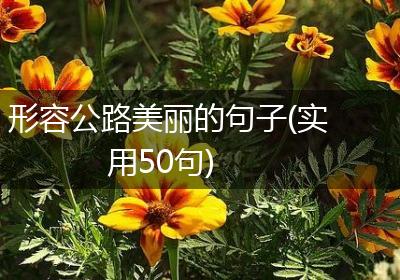 形容公路美丽的句子(实用50句)