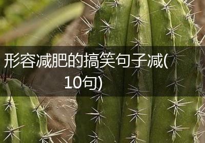 形容减肥的搞笑句子减(10句)