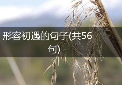 形容初遇的句子(共56句)