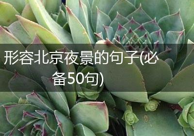 形容北京夜景的句子(必备50句)