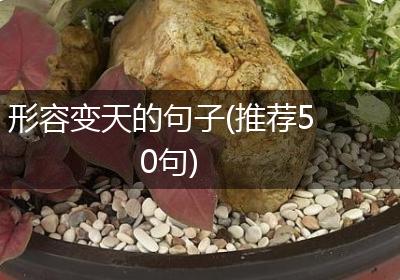 形容变天的句子(推荐50句)