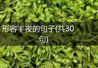形容半夜的句子(共30句)
