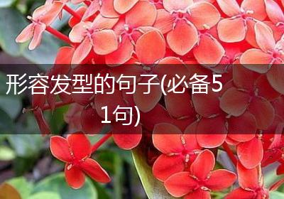 形容发型的句子(必备51句)