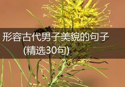 形容古代男子美貌的句子(精选30句)