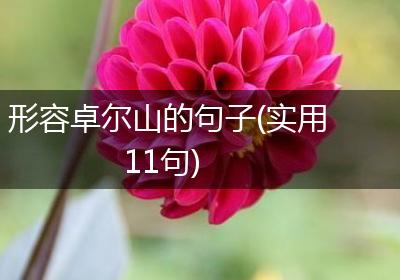 形容卓尔山的句子(实用11句)