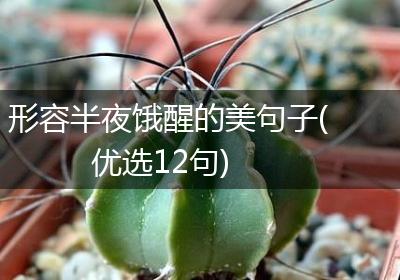 形容半夜饿醒的美句子(优选12句)
