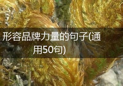 形容品牌力量的句子(通用50句)