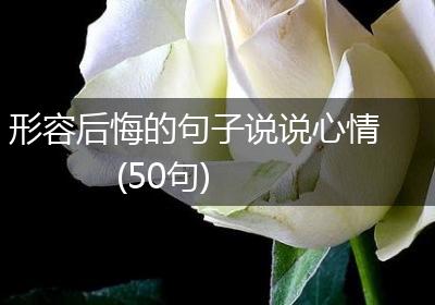 形容后悔的句子说说心情(50句)