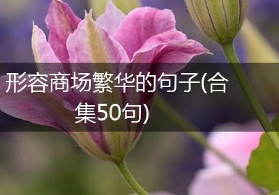 形容商场繁华的句子(合集50句)