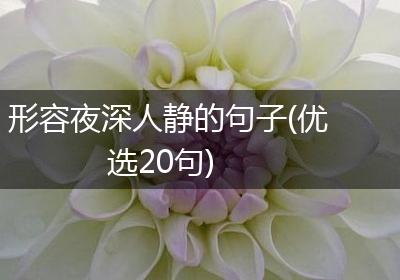 形容夜深人静的句子(优选20句)