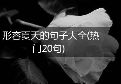 形容夏天的句子大全(热门20句)
