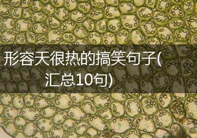 形容天很热的搞笑句子(汇总10句)