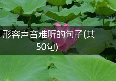 形容声音难听的句子(共50句)