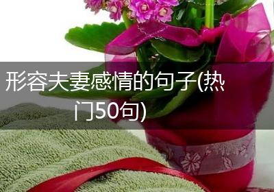 形容夫妻感情的句子(热门50句)