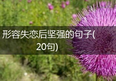 形容失恋后坚强的句子(20句)