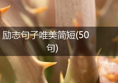 励志句子唯美简短(50句)