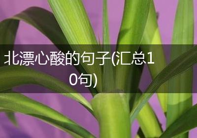 北漂心酸的句子(汇总10句)