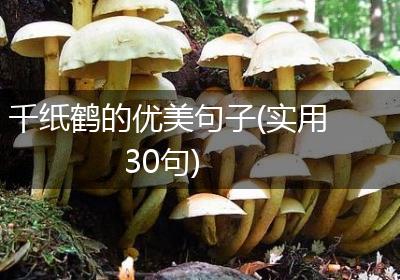 千纸鹤的优美句子(实用30句)