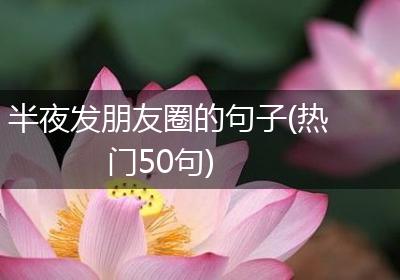 半夜发朋友圈的句子(热门50句)