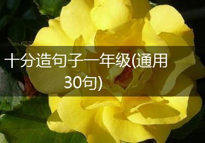 十分造句子一年级(通用30句)