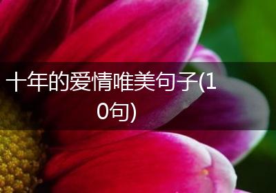 十年的爱情唯美句子(10句)