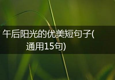 午后阳光的优美短句子(通用15句)