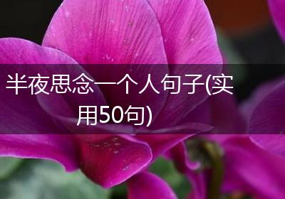 半夜思念一个人句子(实用50句)