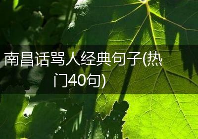 南昌话骂人经典句子(热门40句)