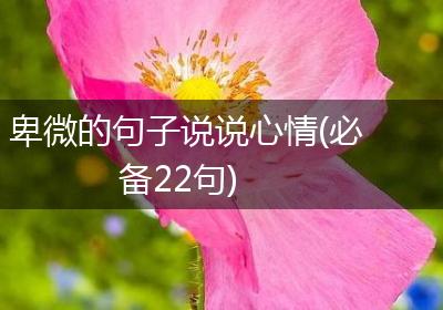 卑微的句子说说心情(必备22句)