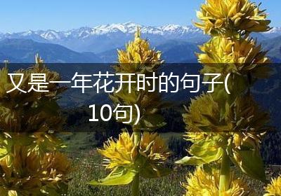 又是一年花开时的句子(10句)