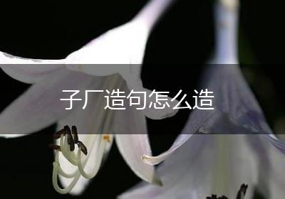 子厂造句怎么造