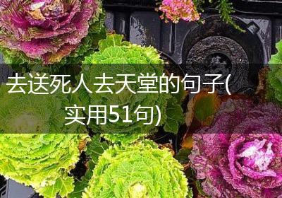 去送死人去天堂的句子(实用51句)