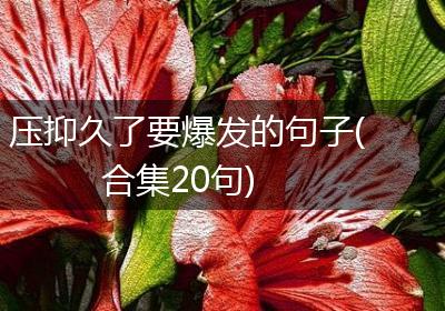 压抑久了要爆发的句子(合集20句)