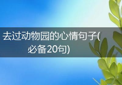 去过动物园的心情句子(必备20句)