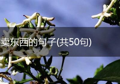 卖东西的句子(共50句)