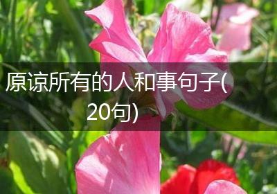 原谅所有的人和事句子(20句)