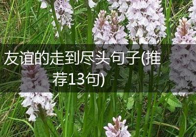友谊的走到尽头句子(推荐13句)