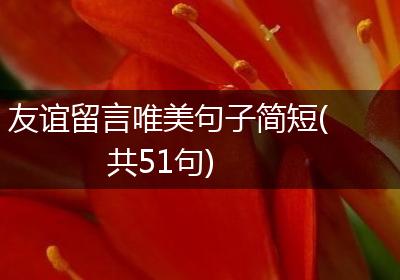 友谊留言唯美句子简短(共51句)