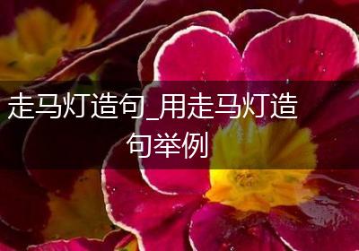 走马灯造句_用走马灯造句举例