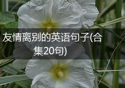 友情离别的英语句子(合集20句)