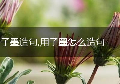 子墨造句,用子墨怎么造句