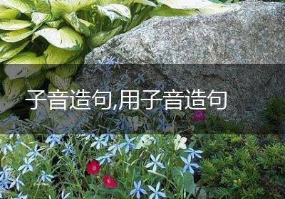 子音造句,用子音造句